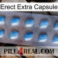 Erect Extra Capsule viagra3